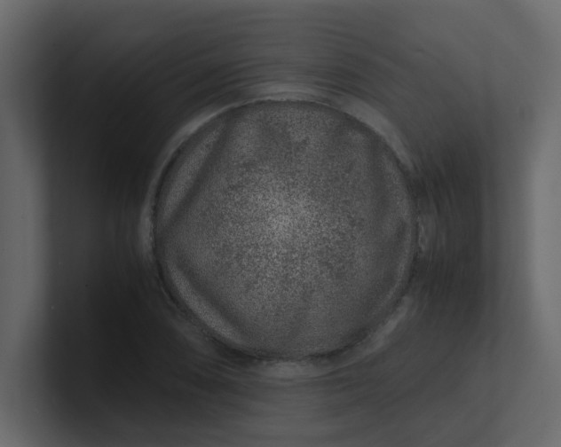 X0000101101074200807101442