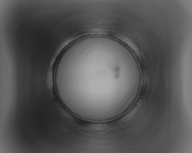X0000101101075200807101442