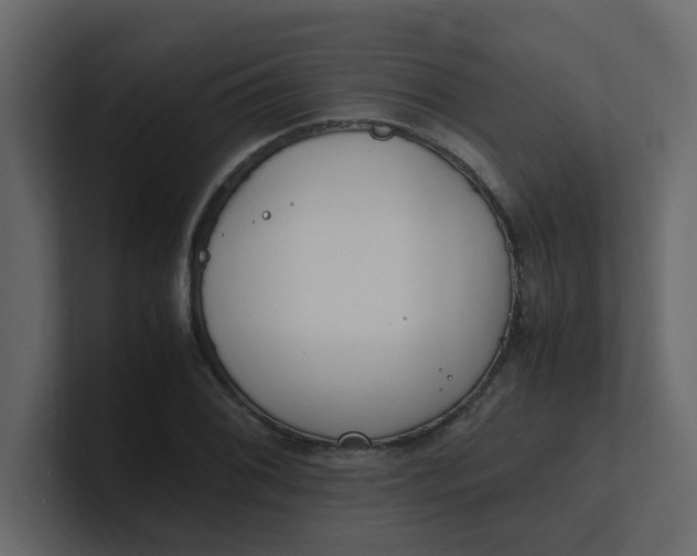 X0000101101076200807101442