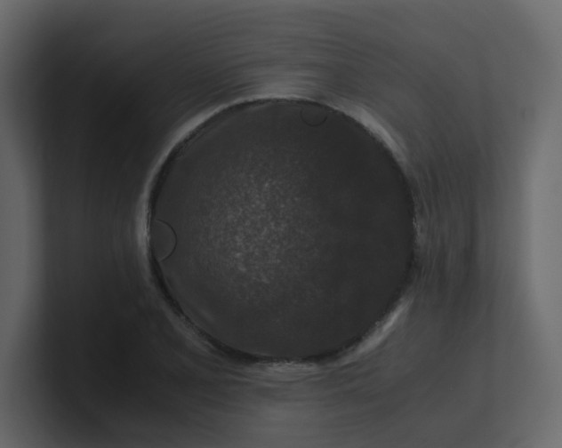 X0000101101077200807101442