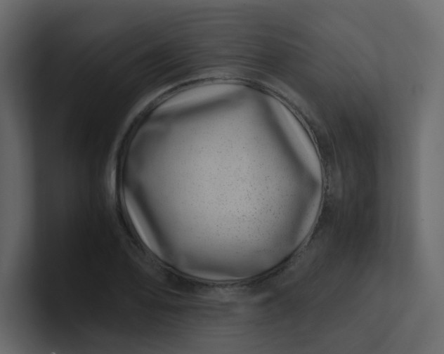 X0000101101078200807101442