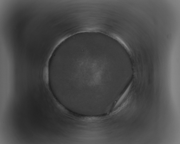 X0000101101079200807101442