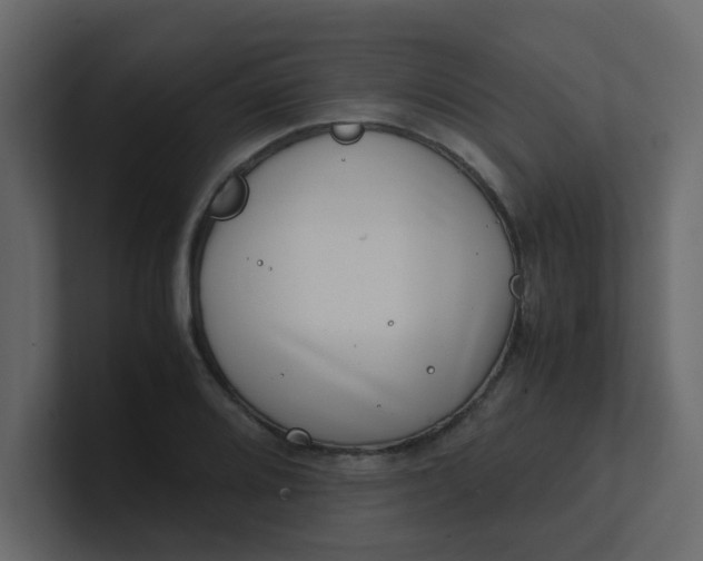 X0000101101080200807101442