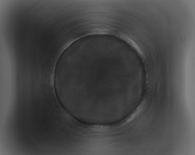 X0000101101081200807101442