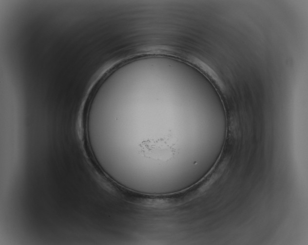 X0000101101082200807101442