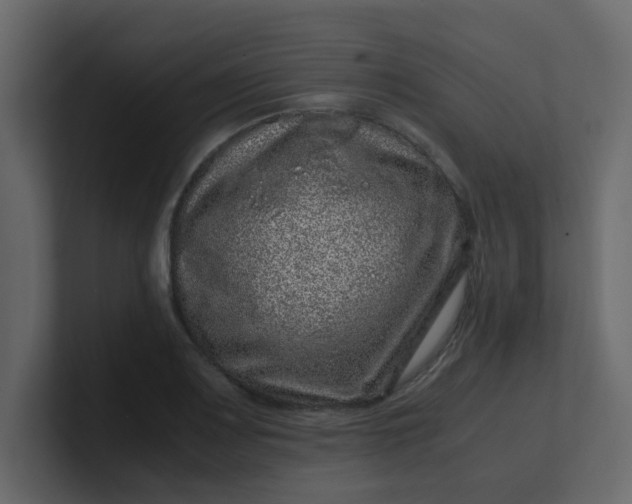 X0000101101083200807101442