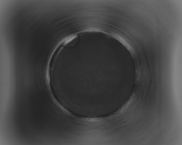 X0000101101084200807101442