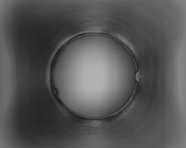 X0000101101085200807101442