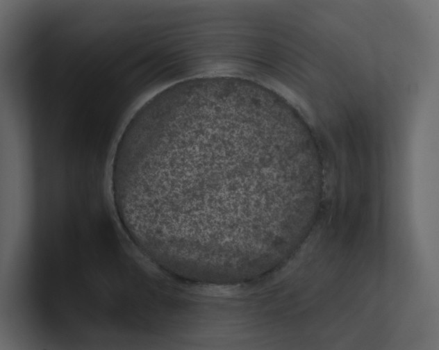 X0000101101086200807101442
