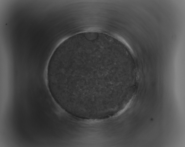X0000101101087200807101442