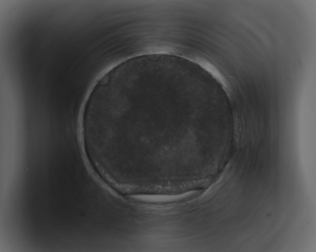 X0000101101088200807101442