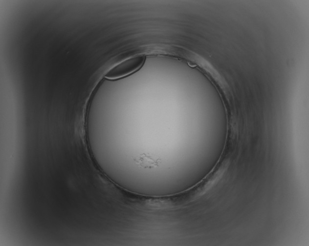 X0000101101089200807101442