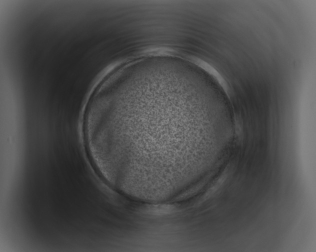X0000101101090200807101442