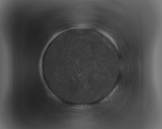 X0000101101091200807101442