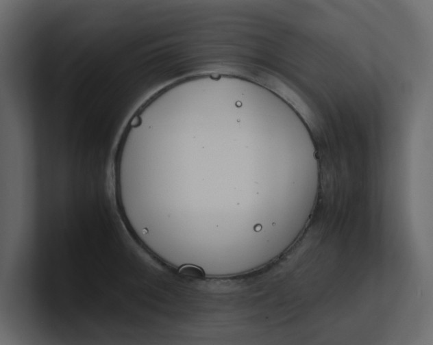 X0000101101092200807101442