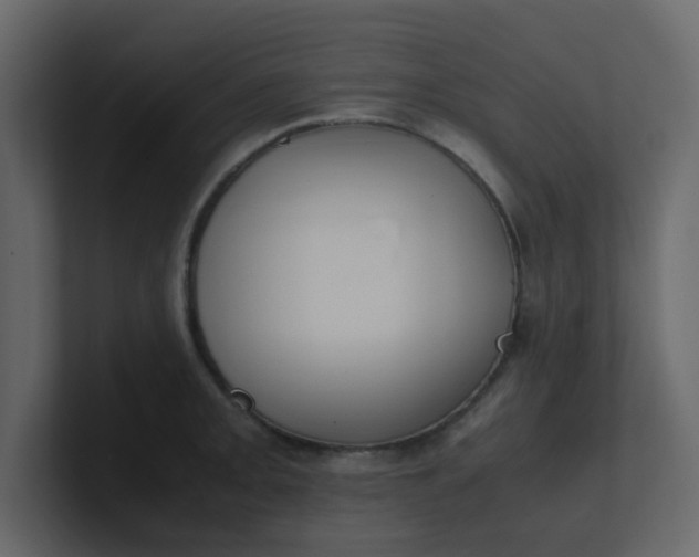 X0000101101093200807101442