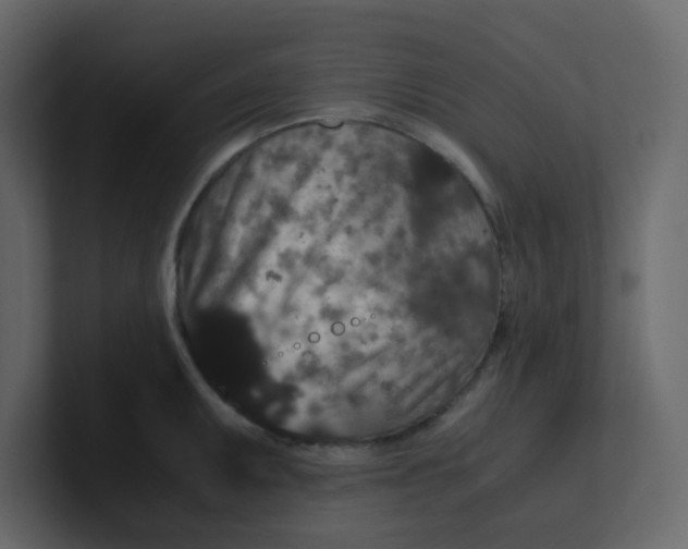 X0000101101095200807101442