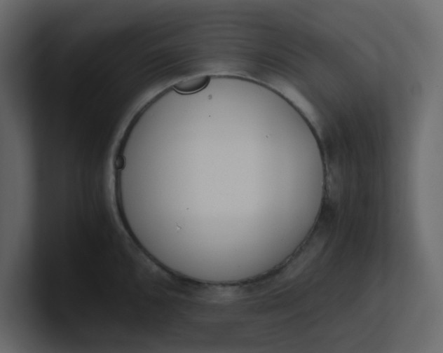 X0000101101096200807101442