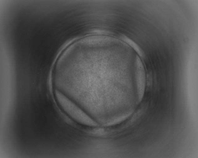 X0000101101098200807101442