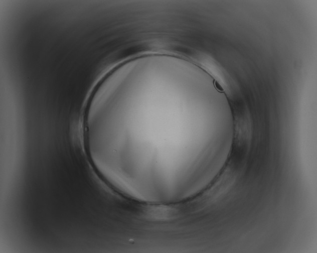 X0000101101100200807101442