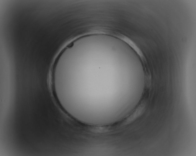 X0000101101101200807101442