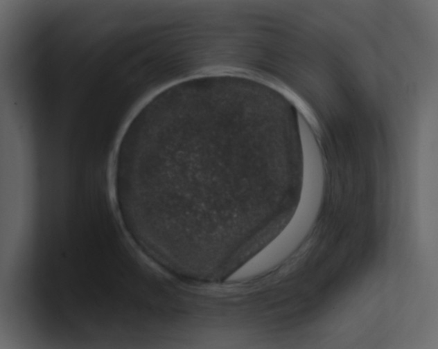 X0000101101102200807101442