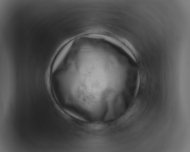 X0000101101103200807101442