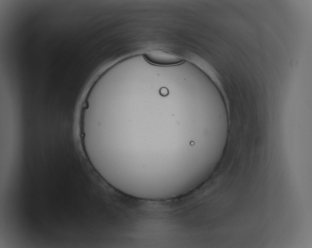 X0000101101104200807101442