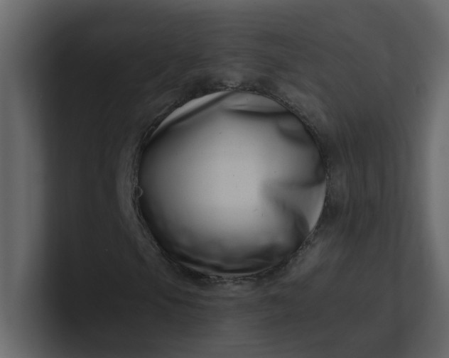 X0000101101105200807101441