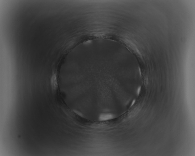 X0000101101106200807101441