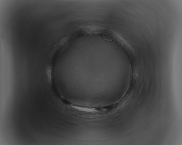 X0000101101108200807101441