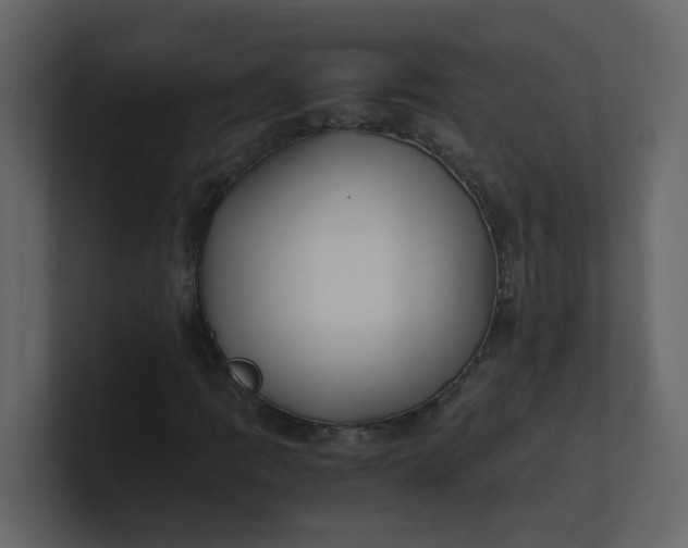 X0000101101109200807101441