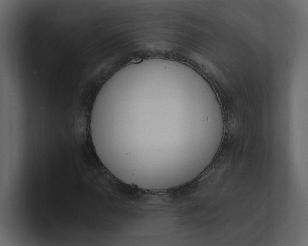 X0000101101110200807101441