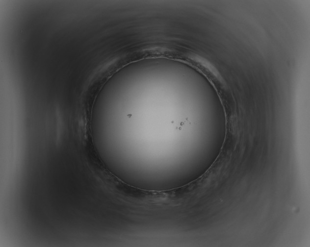 X0000101101111200807101441