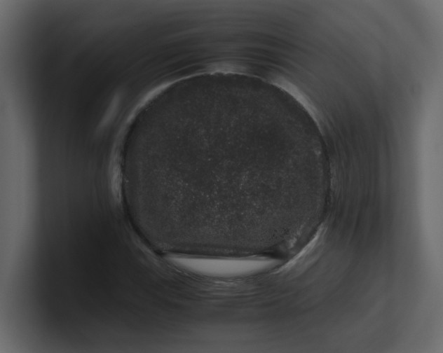 X0000101101115200807101441