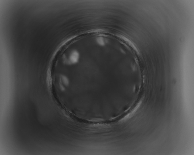 X0000101101117200807101441