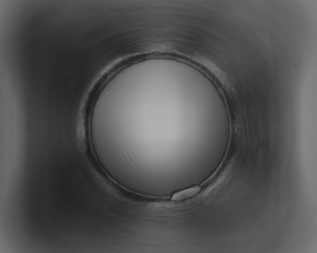 X0000101101118200807101441