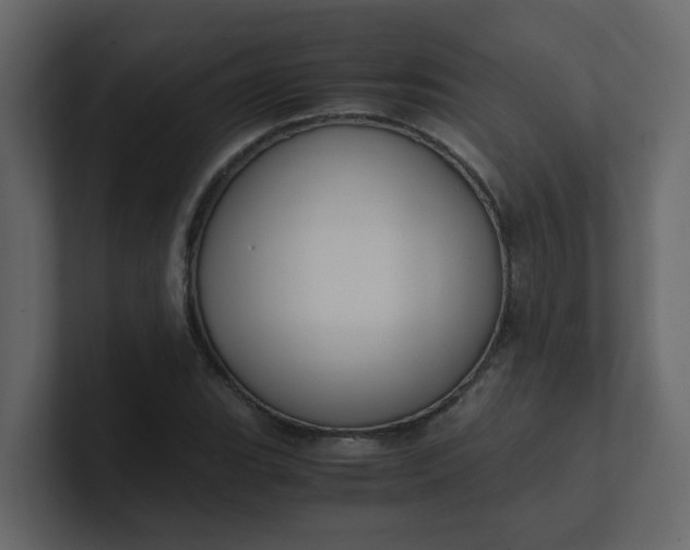 X0000101101119200807101441