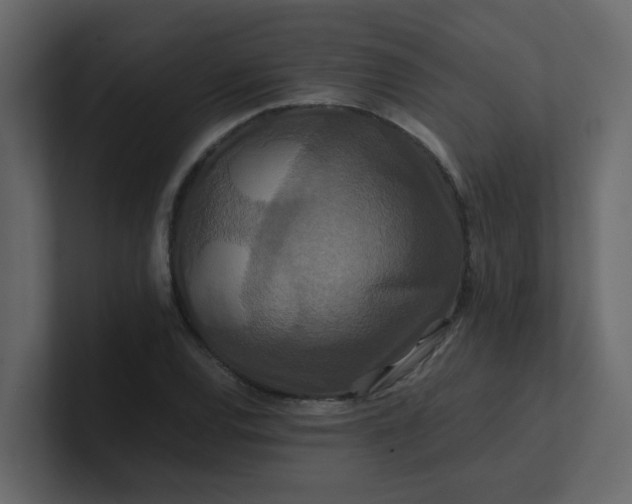 X0000101101120200807101441
