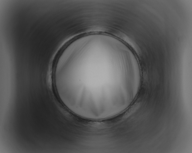 X0000101101124200807101441