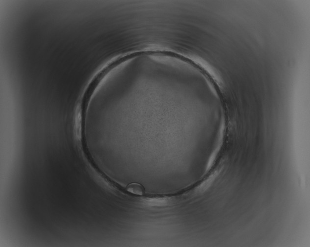 X0000101101126200807101441