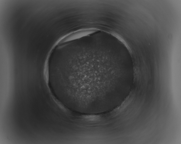 X0000101101127200807101441