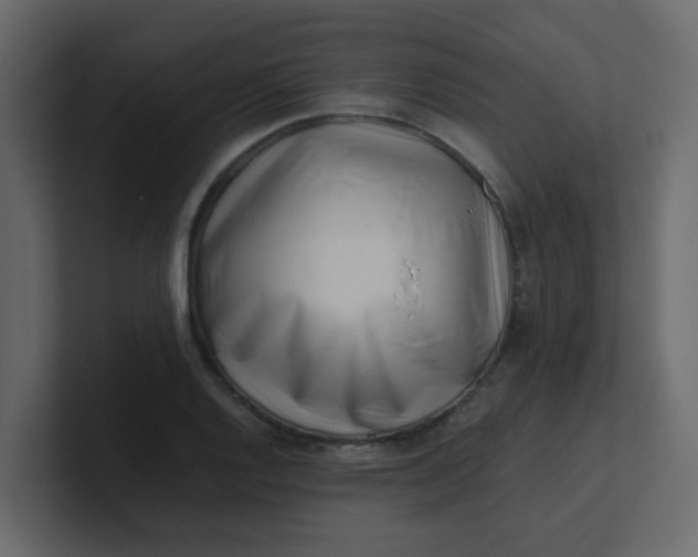 X0000101101128200807101441