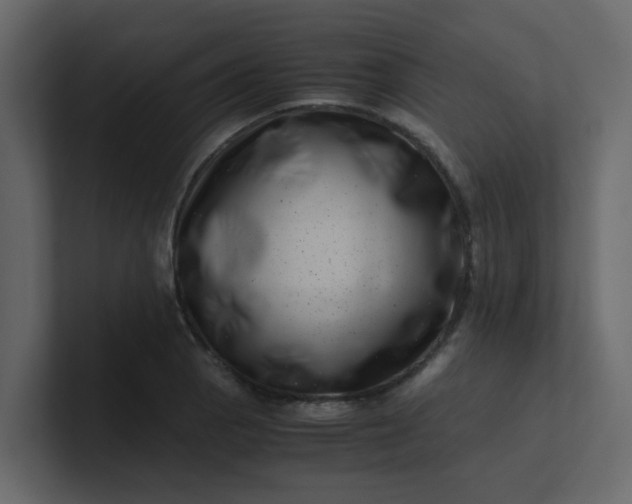 X0000101101129200807101442