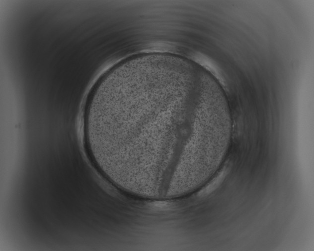 X0000101101130200807101442