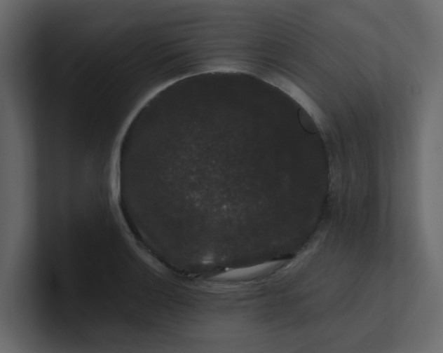 X0000101101132200807101442