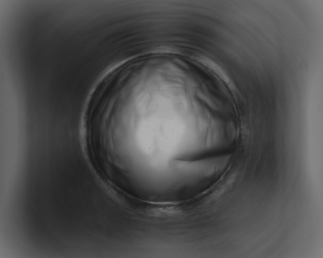 X0000101101133200807101442