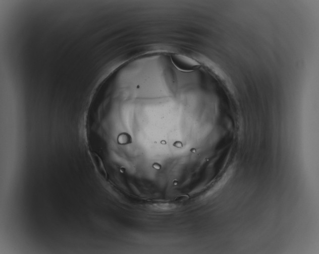 X0000101101137200807101442