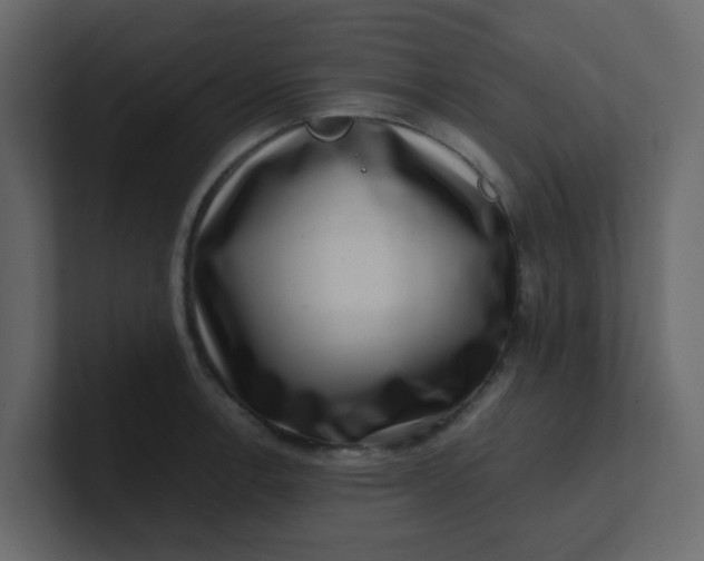 X0000101101138200807101442
