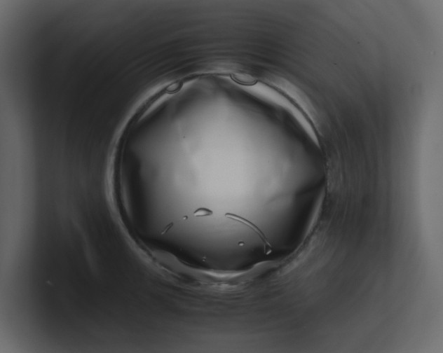 X0000101101139200807101442